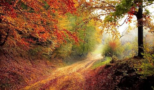 a contemplative road.jpg