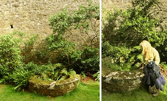 The famous well at Moonacre Manor