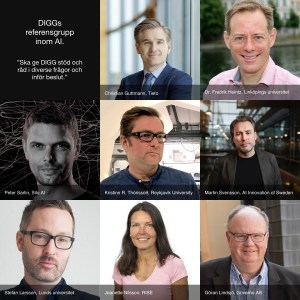 All the 8 members of the DIGG advisory group in AI