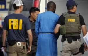 FBI arrest online scammers