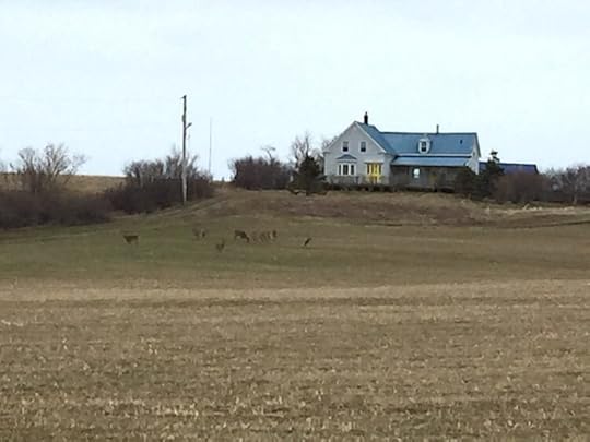 farmhouse by Jean Mills