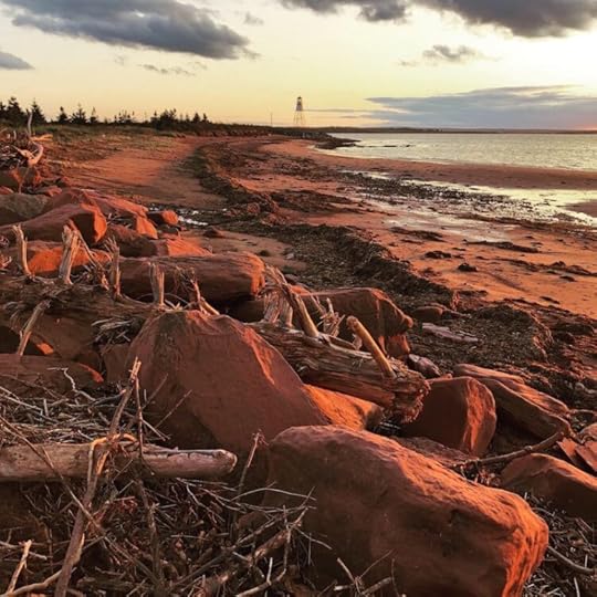shoreline by Jean Mills