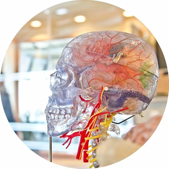 Photo by Jesse Orrico on Unsplash