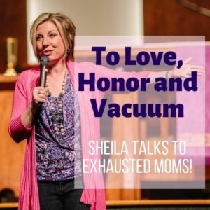 TLHV Audio Download 300x300 - To Love, Honor and Vacuum--Audio Download