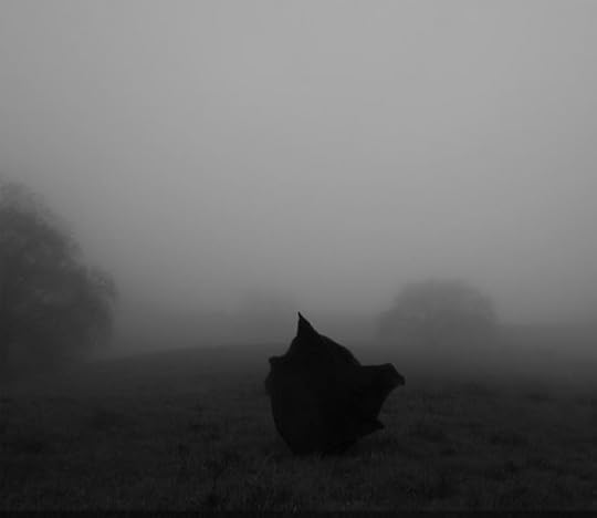 Photograph by Daniel Vazquez