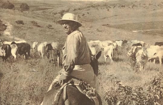 Image result for joão guimarães rosa grande sertão veredas