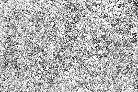 Blizzard © Harold Davis