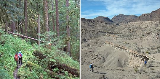 As conditions change, so too should your gear, supplies, and skills. For example, In the Olympics (left), bring good rain gear and know how to stay comfortable when it's cool and wet. In Big Bend (right), add extra water capacity, and know how to protect your skin from the intense sun.