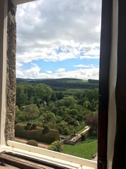 forest view from Crathes Castle window