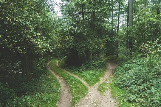 woods-768753_1920.jpg
