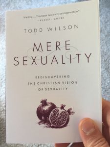 the flip side book club, noah filipiak, podcast, todd a wilson, mere sexuality, book club