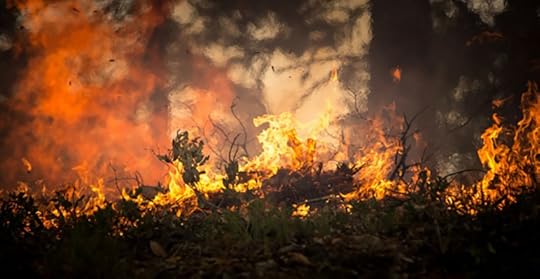 cinematic-environment