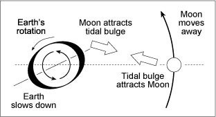 Fig5 28copy