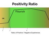 Can You Have too Much Optimism? Learn About the Danger Zone