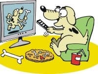 What do you feed your mind? Is it a healthy diet?