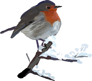 A resident Robin singing regardless of who listens
