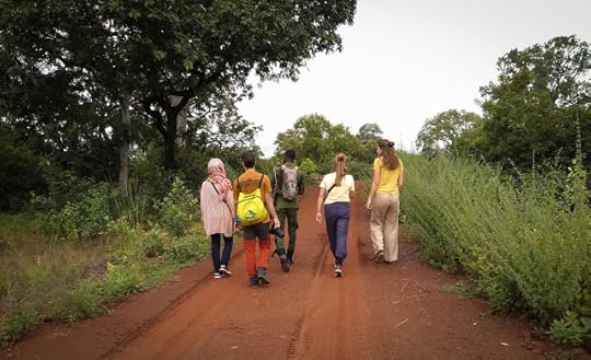 Morning safari drive, Mole National Park, Ghana