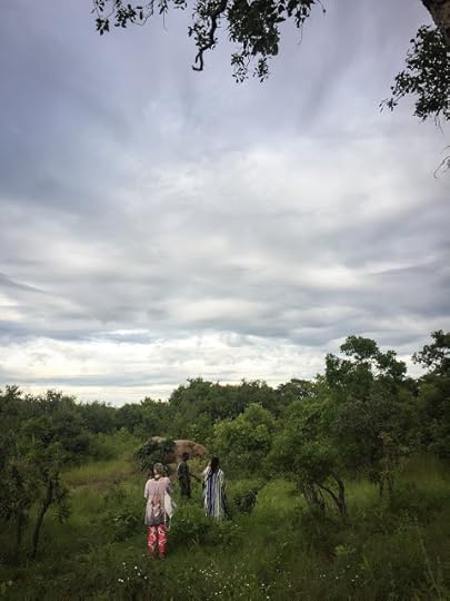 Afternoon safari drive, Mole National Park, Ghana
