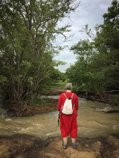 Morning walking safari and Mole River, Ghana