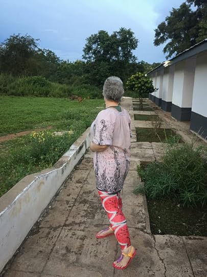 Mole Motel, Mole National Park, Ghana