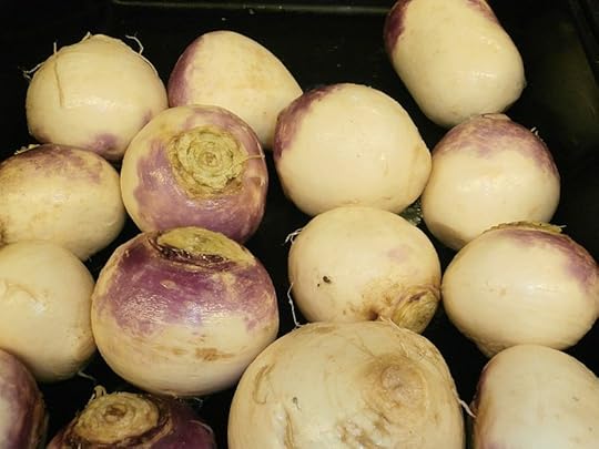 File:Turnips in a bin.jpg