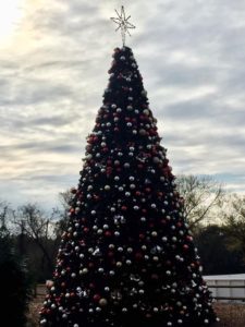 Christmas Tree-Cherry Hill, NJ