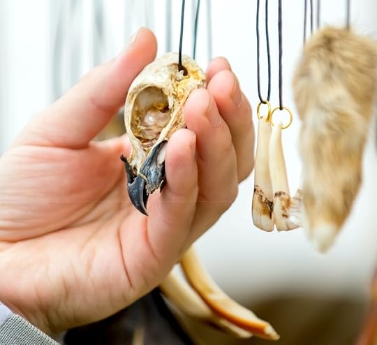 AFRICAN CRIME FICTION: Bird skull and beak as an amulet or talisman (Photo: Amtiko/Shutterstock)