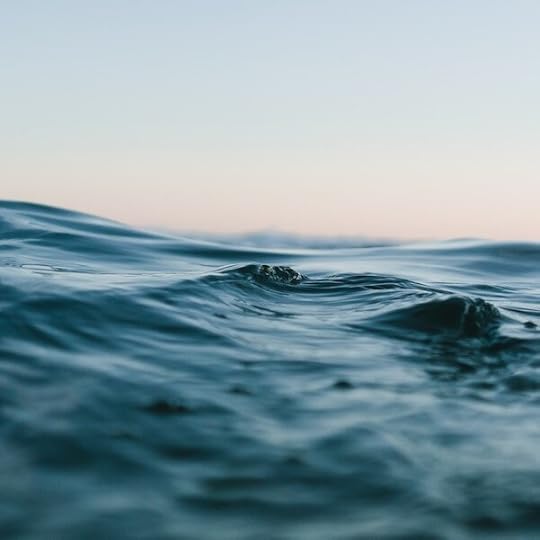 Photo by Matt Hardy on Unsplash