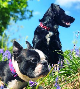 Prayer Partner, the value of someone to pray with, what does a prayer partner do, Christian fellowship, friendship, confession