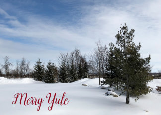 Snow scene - Merry Yule Holiday Card