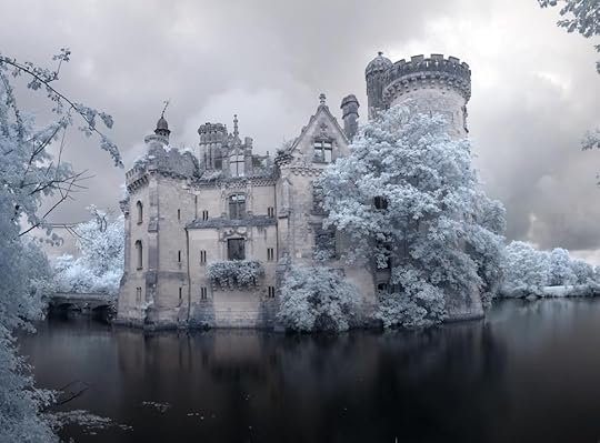 Image result for french gothic chateau in winter