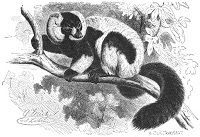 Helena Looftu0027s Blog