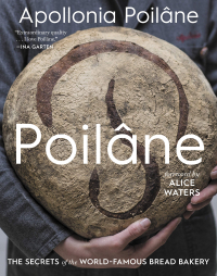 Plaine book