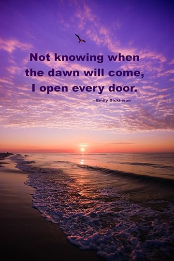 Not Knowing When the Dawn Will Come I Open Every Door