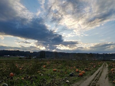 Bodes well, obviously.