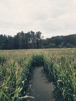 Nothing ominous here.