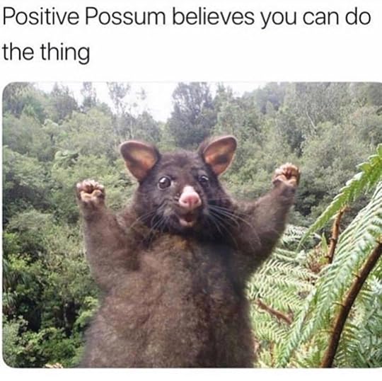 Image may contain: meme and outdoor, text that says 'Positive Possum believes you can do the thing'
