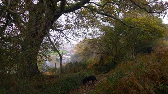 Devon autumn 2