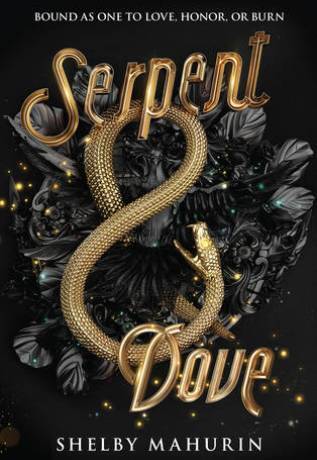 Serpent & Dove, by Shelby Mahurin – I stayed up until 4 am reading this