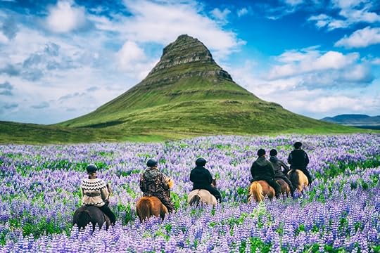 Tourist ride horse at Kirkjufell mountain