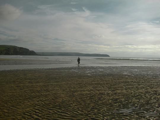 On the south Devon coast