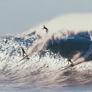 Surfers 10:7:19