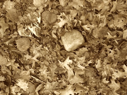 breadrock 3