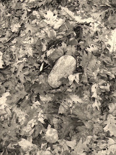 breadrock 1