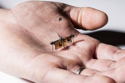 Futurist Speaker Thomas Frey Blog: Early Design Stages Of Micro Drones Will Look Different From Later Designs