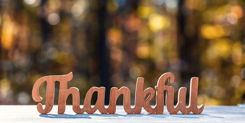 Image result for thankful free stock image