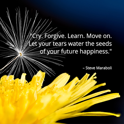 Cry. Forgive. Learn. Move on. Let your tears water the seeds of your future happiness