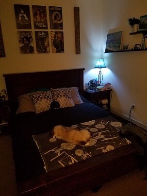 A Halloween Cordelia.