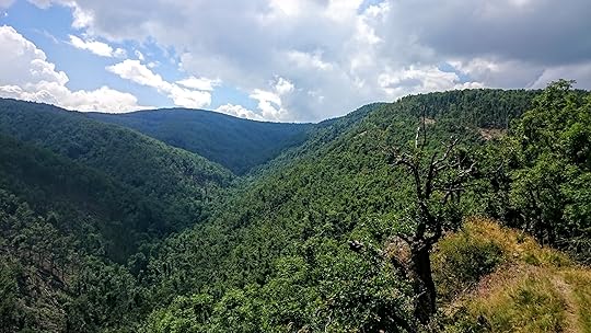 dsc_1139.JPG
