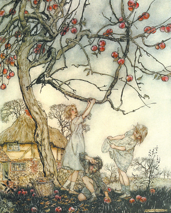 Apple Harvest by Arthur Rackham